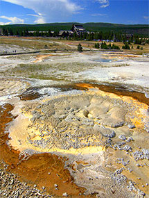 Yellowstone