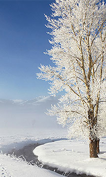 Winter4
