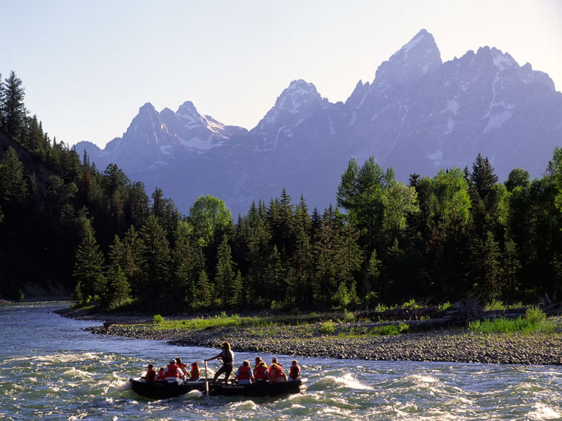 Jackson Hole Wildlife and Float Tour on the Snake River - Backcountry Safaris
