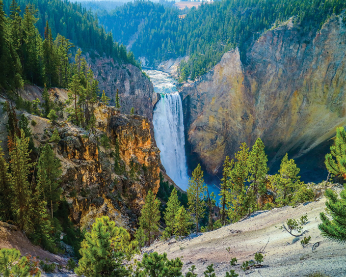 Yellowstone Park Tours from Big Sky Montana  Backcountry Safaris