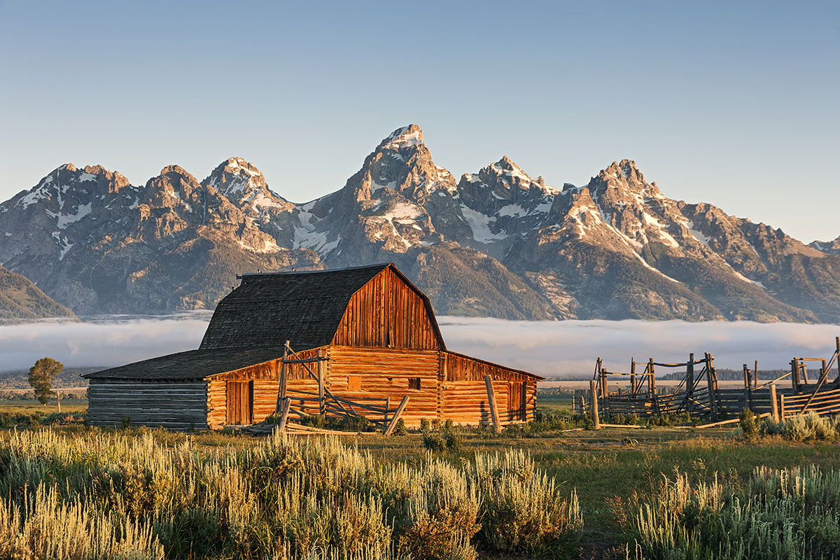 Grand Teton Wildlife Day Tours | Backcountry Safaris