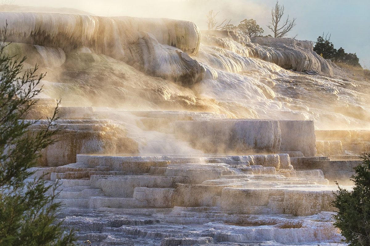 Mammoth Hot Springs on Yellowstone Upper Loop Tour - Backcountry Safaris