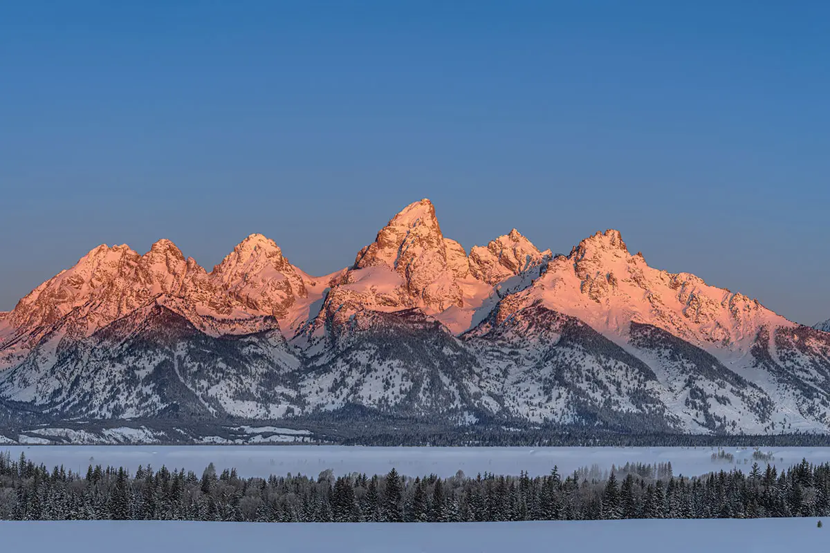 Grand Teton Winter Sunrise & Sunset Wildlife Tours in Jackson, WY