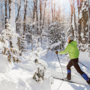 Woman Cross-Country Skiing in Jackson Hole, Wyoming on Guided Tour - Backcountry Safaris