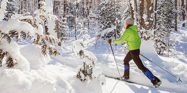 Jackson Hole Wildlife & Park Tours | Backcountry Safaris