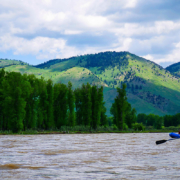 Pair of Rafts on Snake River During Combined Jackson Hole Wildlife Tour and Rafting Trip