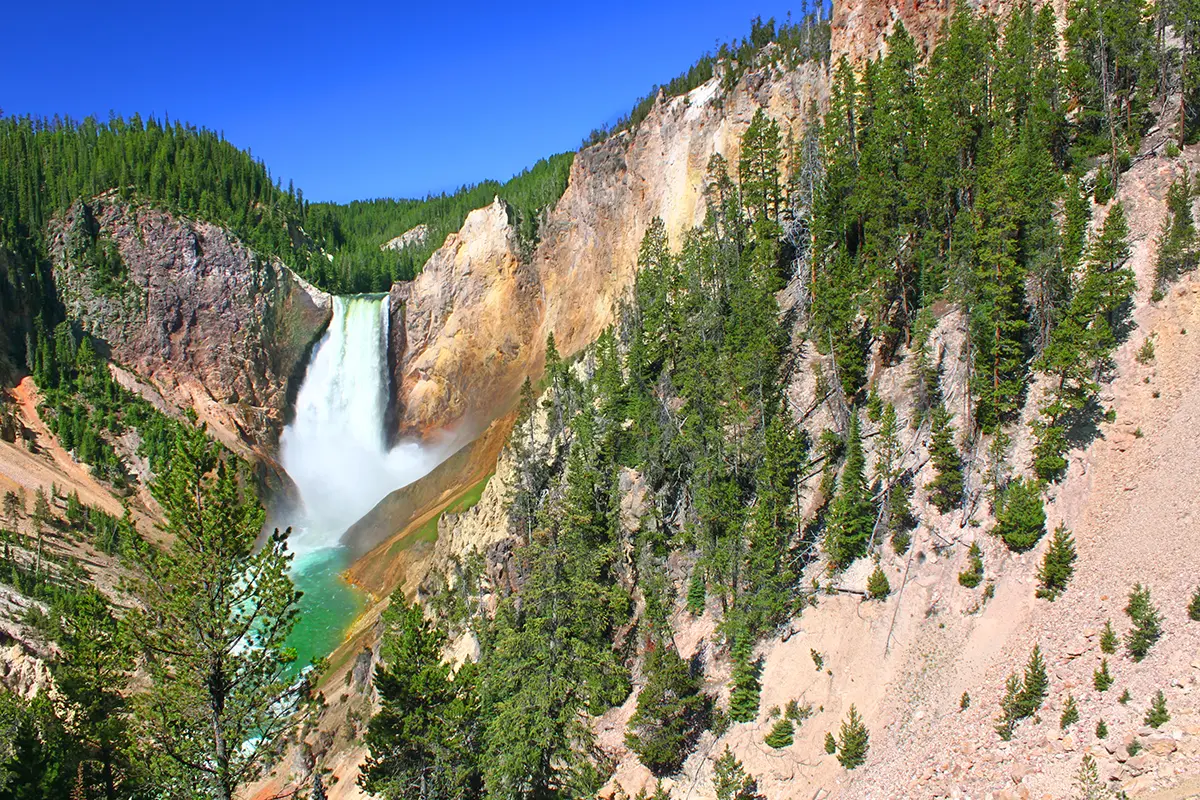 View of Lower Falls on Guided Yellowstone Day Hike - Backcountry Safaris