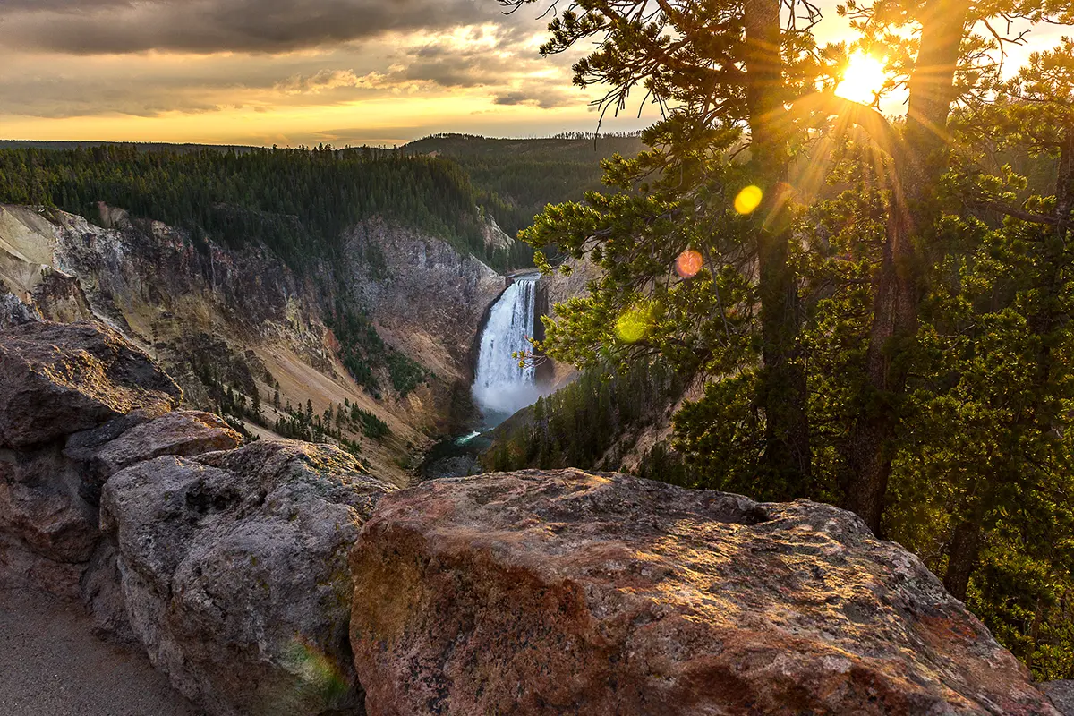 Overlook of Lower Falls on Hiking Tour in Yellowstone National Park - Backcountry Safaris