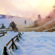 Yellowstone Mammoth geyser in winter